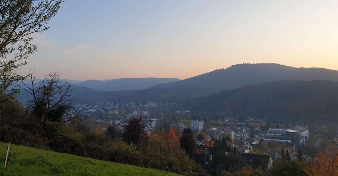 Antrag „Kommunale Klimaschutz- und Biodiversitätsstrategie für Baden-Baden“